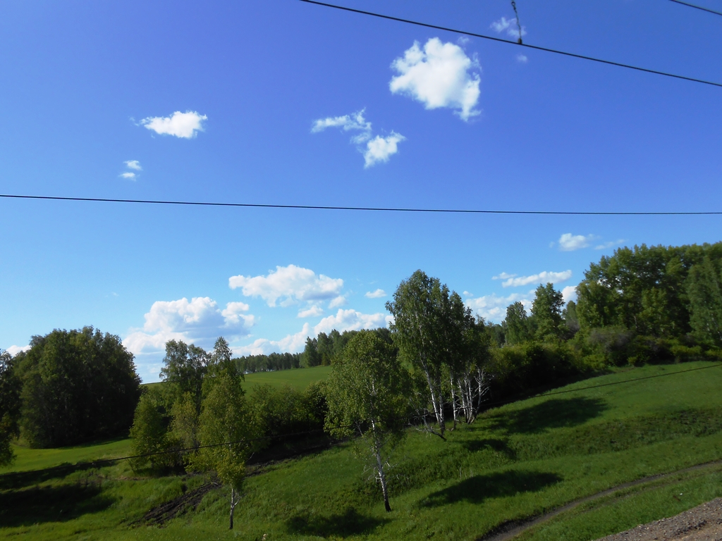 Beau paysage de la taïga.