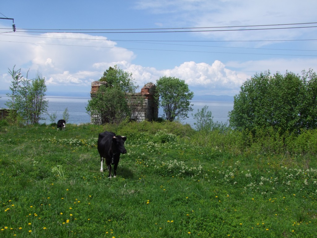Dans le village de Dima.