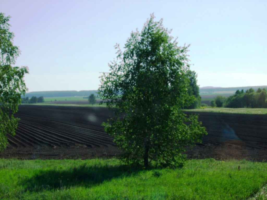 En route d’Ekaterinbourg.