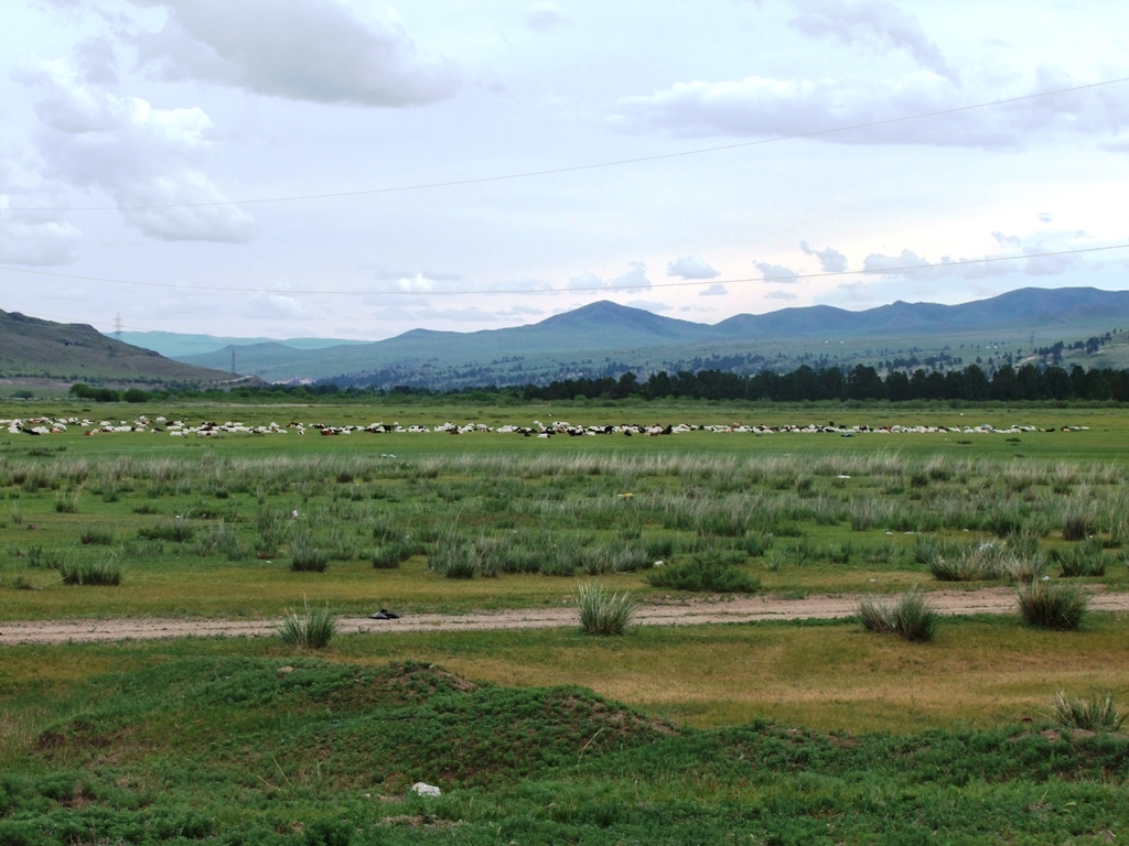 La grande plaine de la Mongolie.