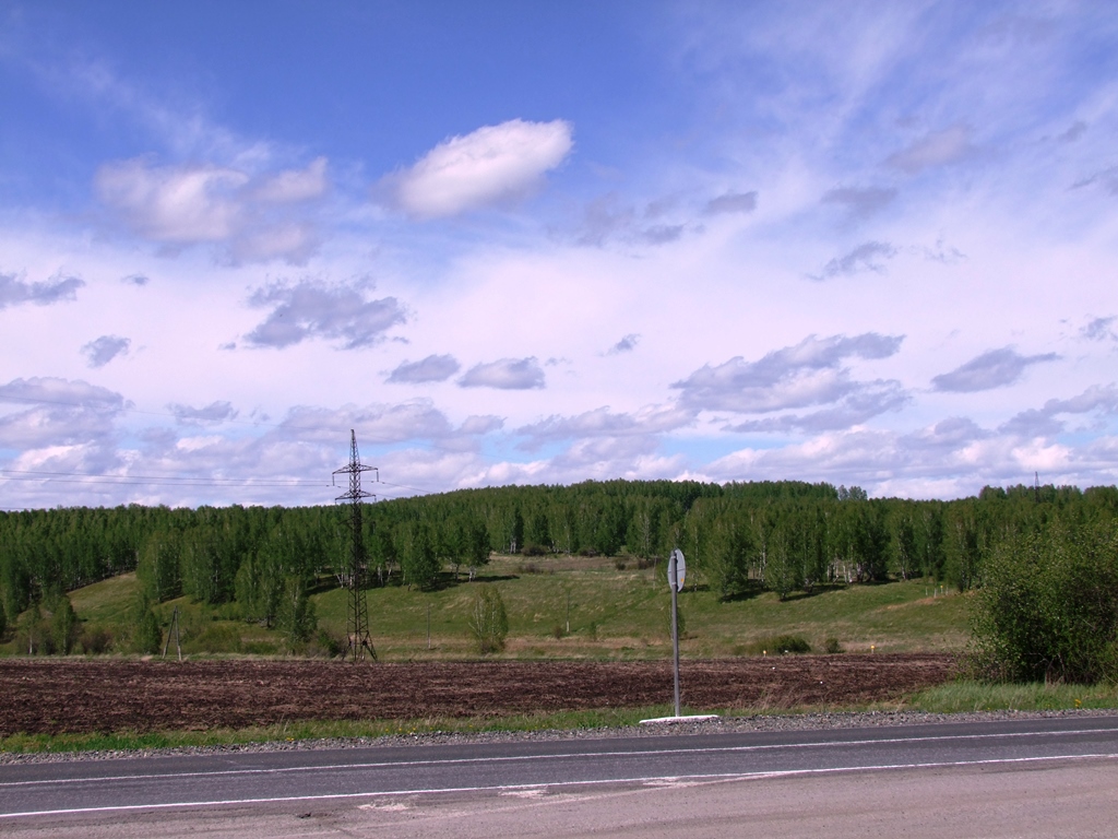 Le paysage de la taïga siberienne.
