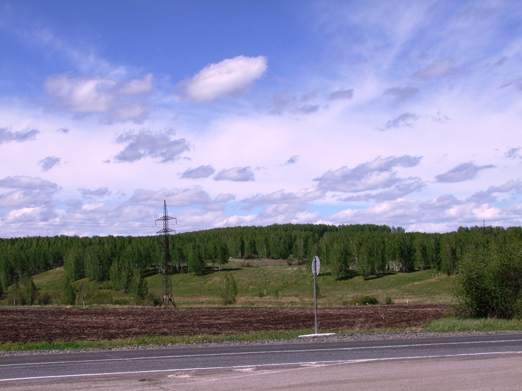 Le paysage de la taïga siberienne.