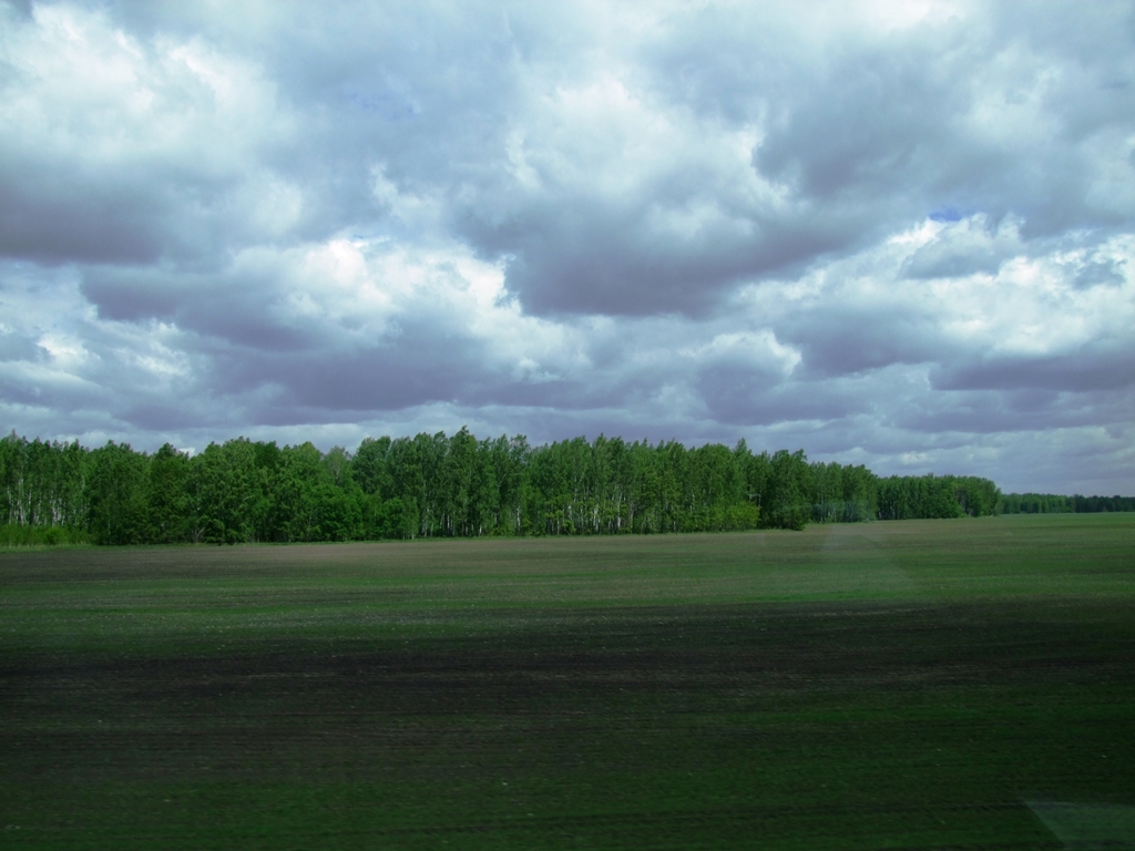 Les grandes plaines de la Sibérie.