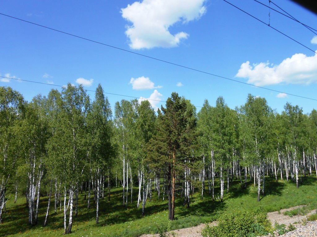 Panorama sur la route depuis le train.