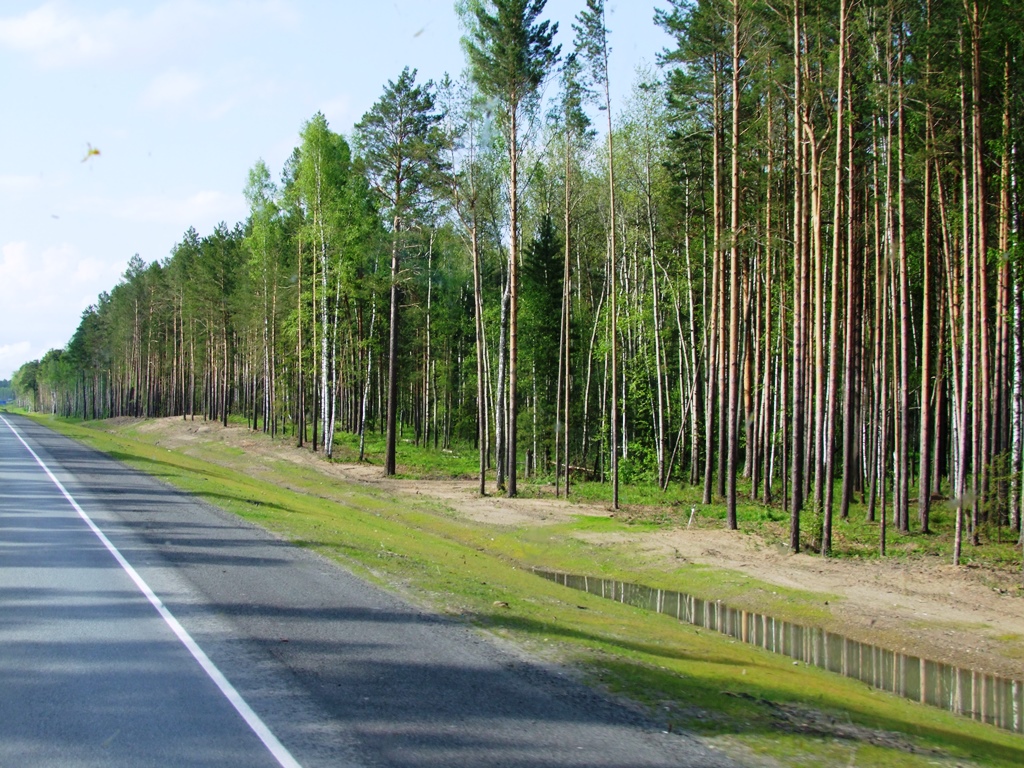 Sur la route de Novossibirsk à Tomsk.