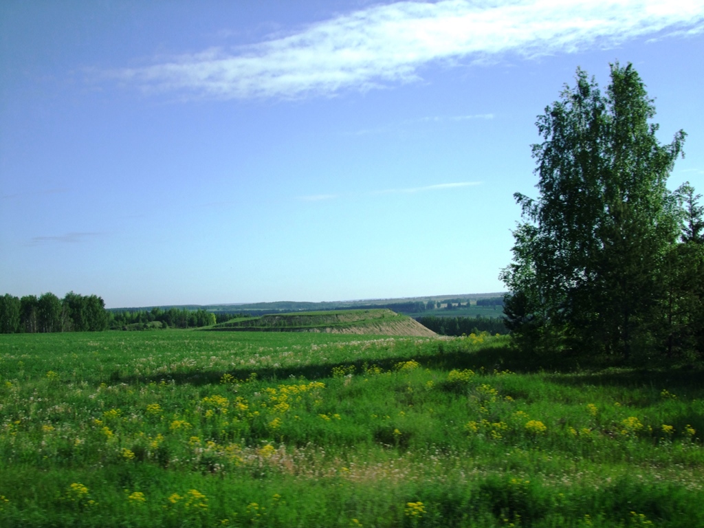 Vers Ekaterinbourg, paysage d’Oural.