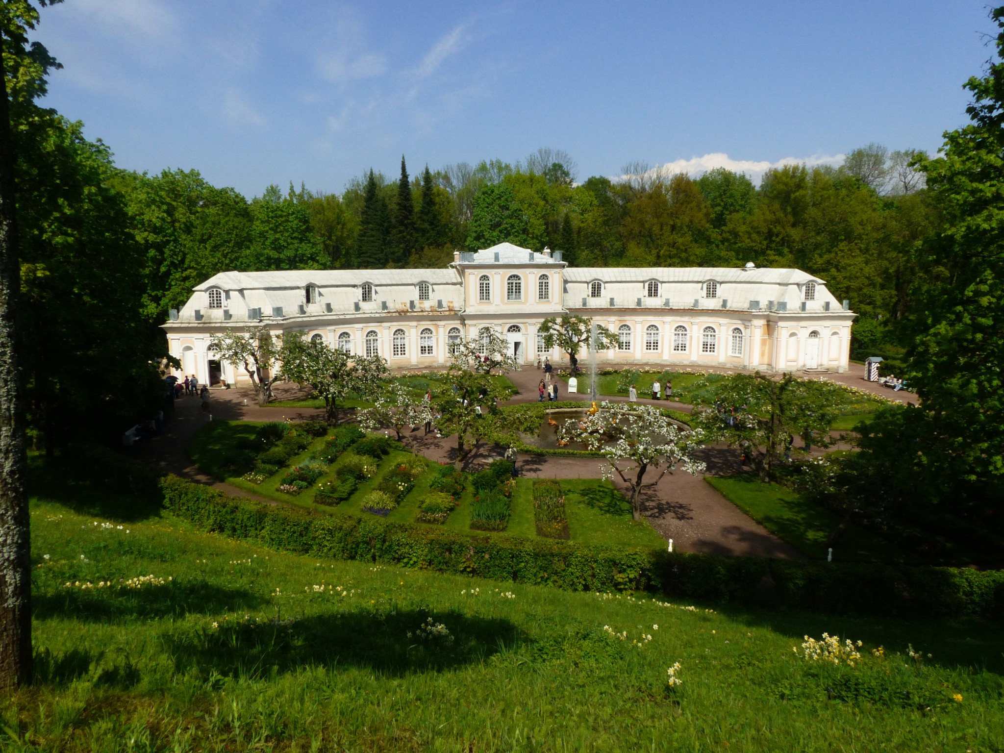 P1000607