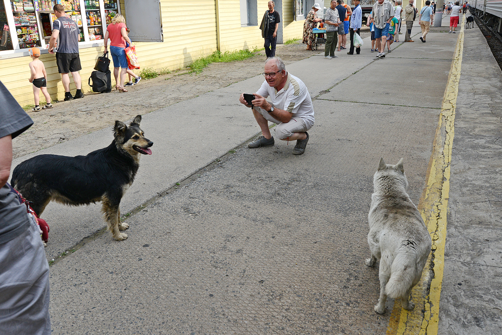 Belogorsk3