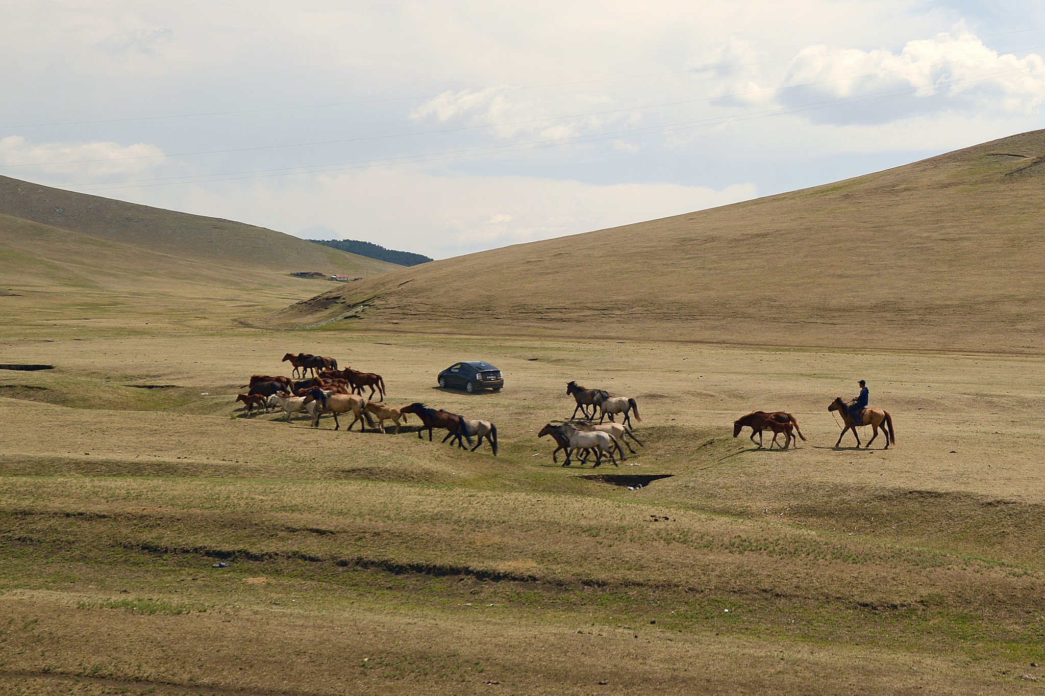 Mongolie20