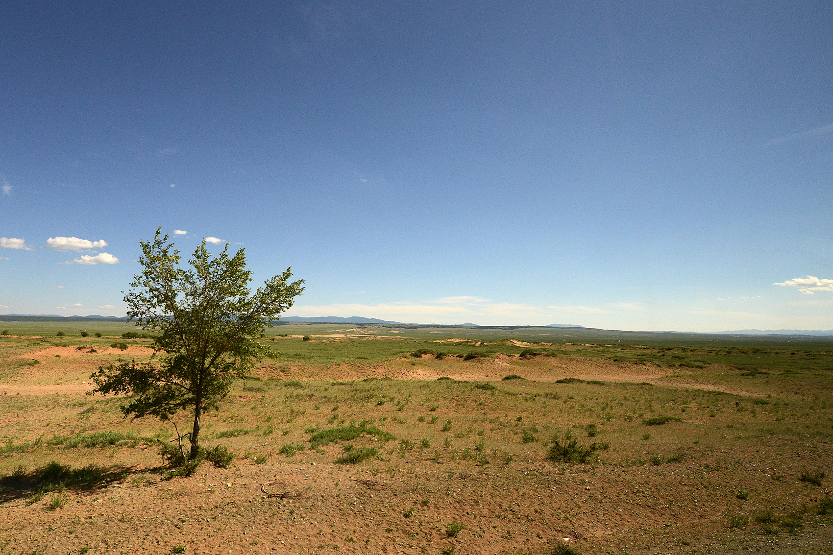 Mongolie8