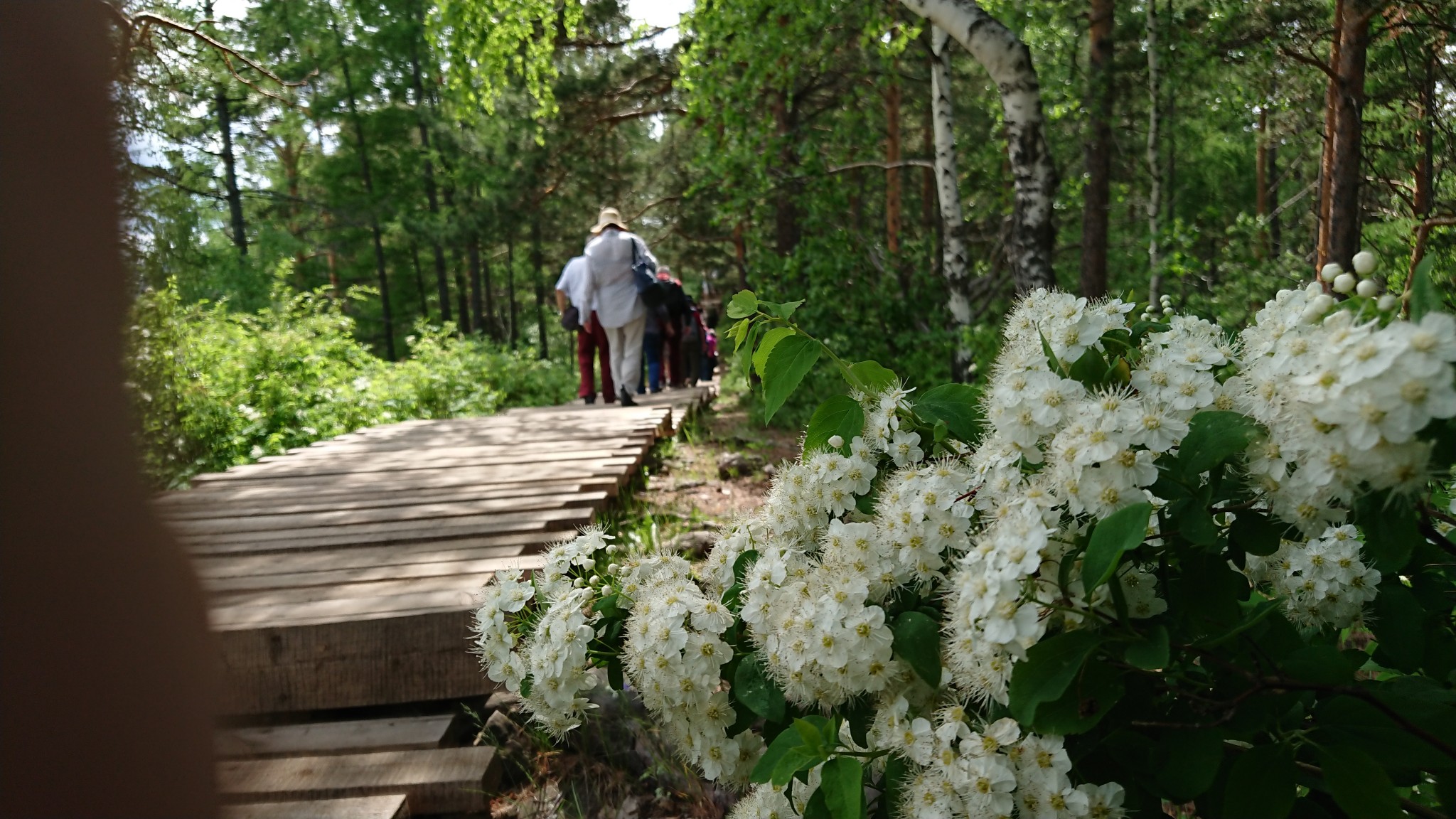 Krasnoïarsk8