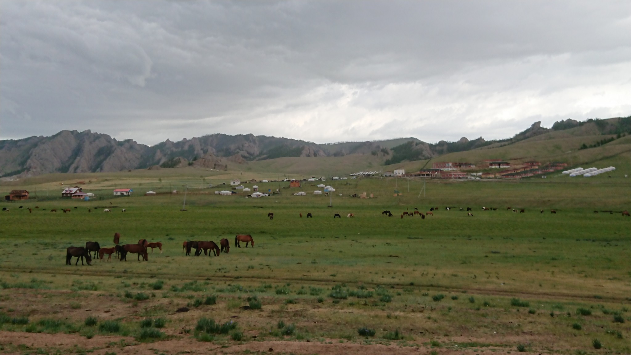 Mongolie43