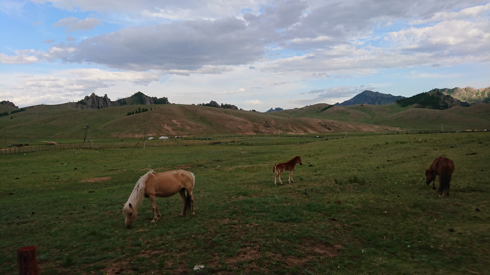 Mongolie48